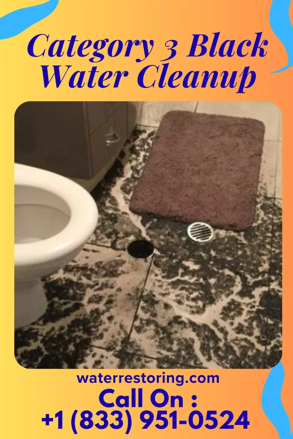 Category 3 Black Water Cleanup in Dacula, GA